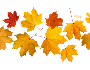 Autumn Leaves in Motion, Horizontal Layout, Isolated on Transparent Background