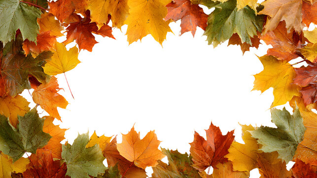 Fototapeta Falling autumn leaves frame a white background. Perfect for seasonal designs and autumnal themes