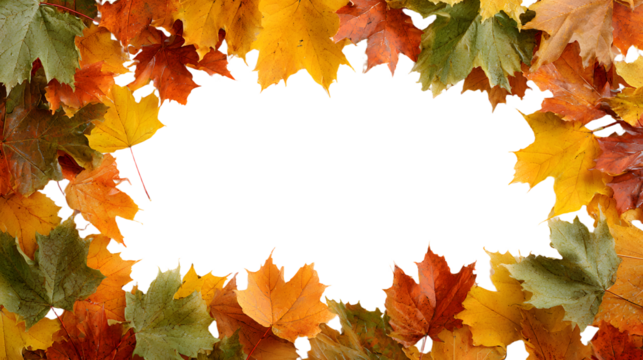 Falling autumn leaves frame a white background. Perfect for seasonal designs and autumnal themes