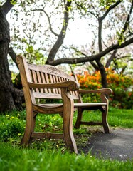 Wooden park bench under blooming trees