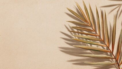 Beige surface with palm leaf shadows