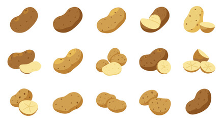 Variety of potatoes icon set on white background