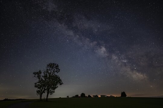 Group of trees with field cross with Milky Way and starry sky, Oberg&uuml;nzburg, Ostallg&auml;u, Bavaria, Germany