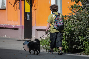 A man walks with a sick dog along a sidewalk on a summer day