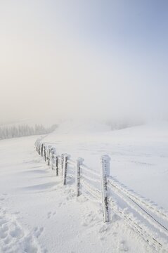 Snowy fence, Mt. Unterberg, Lower Austria, Austria, Europe