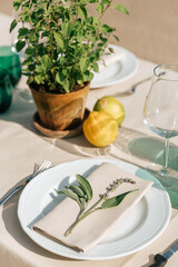 White plate with linen napkin and lavender. Rustic table decor with fresh basil plant in aged clay pot, lemons and wine glass with light reflections on linen tablecloth