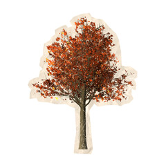 scrapbook tree isolated on white