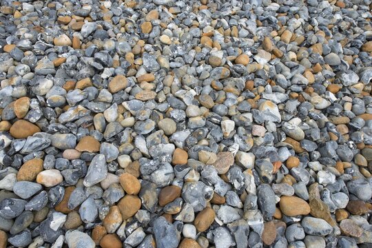 Flint stones, flint fields nature reserve, Prora, Ruegen, Mecklenburg-Western Pomerania, Germany
