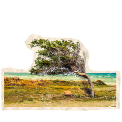 scrapbook cutout of collage with waterfall and rocks