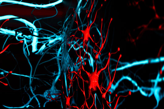 Close up of digital representation of neural connections on computer screen. The image features intricate networks of red and blue neurons, showcasing the complexity of the brain connectivity