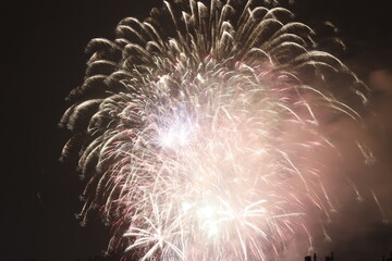 Fireworks exhibition at night