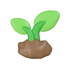 green plant in a hand