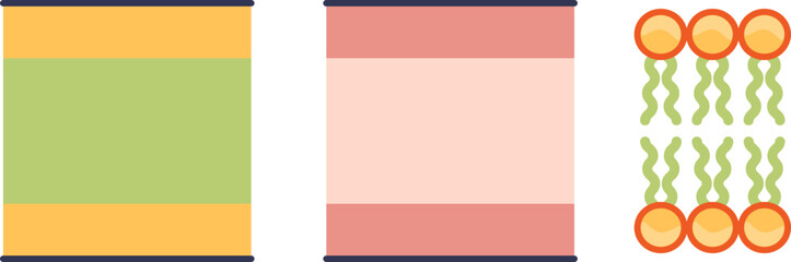 Fototapeta premium A diagram illustrating the structure of a cell membrane's phospholipid bilayer, showing the arrangement of hydrophilic heads and hydrophobic tails. A fundamental concept in cell biology.
