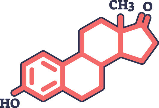 Stylized chemical structure of the estrone molecule, a type of estrogen hormone. This icon represents female biology, endocrinology, and biochemistry concepts.