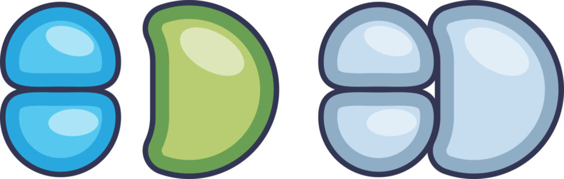 Stylized illustration of G-protein subunits and complexes. The colorful, abstract shapes represent the molecular components involved in cellular signal transduction and cell communication.