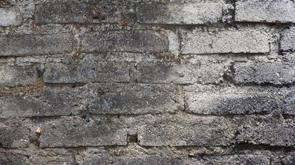 Weathered brick wall with dry moss texture