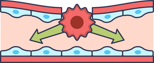 A diagram illustrating the intravasation process. A cancer cell is shown penetrating the endothelial wall of a blood vessel to enter the bloodstream, a critical step in metastasis.