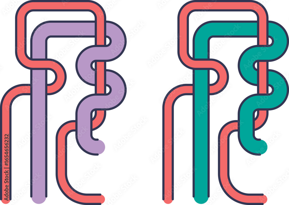Poster stylized diagrams of proximal and distal tubules of a nephron, intertwined with peritubular capillar