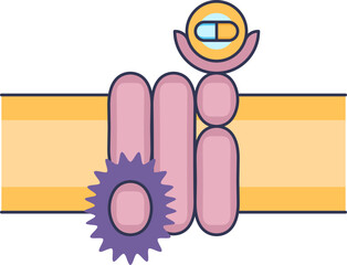A drug molecule binds to a cell membrane receptor, triggering an intracellular signal. This illustration depicts the mechanism of action for receptor activation in pharmacology and cell signaling.