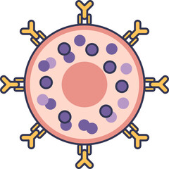 Illustration of a sensitized mast cell. IgE antibodies are bound to its surface, and internal granules contain histamine. This cell is primed for an allergic response.