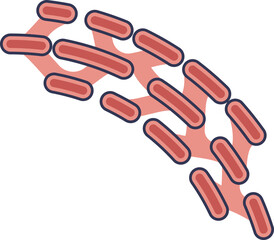 A diagram of the Smooth Endoplasmic Reticulum (SER). This illustration shows the network of smooth tubules, a key organelle for lipid synthesis and detoxification in a eukaryotic cell.
