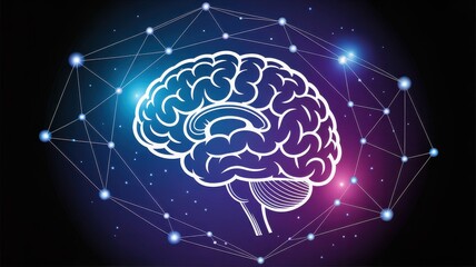 Exploring the Complexities of the Human Brain and its Neural Network Connections