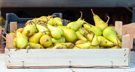 Fresh organic raw ripe green pears fruit pile in wooden crate sold outside on a market