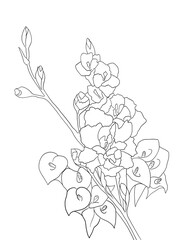 Black and white digital art floral template. Isolated Hand drawn black contours of Gladioluses And Calla Flowers on white background. Template for design, coloring page, invitation