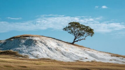 Lone Tree on a White Sandy Hill Under a Clear Blue Sky with Wispy Clouds and Golden Grass in the Foreground