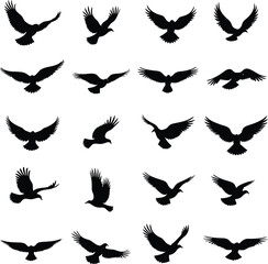Collection of bird silhouettes in flight various poses