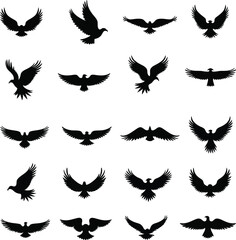 Collection of bird silhouettes soaring in flight