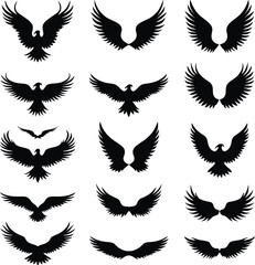 Obraz premium Collection of eagle silhouettes wings spread soaring