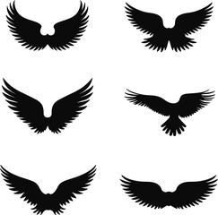 Obraz premium Six black wing silhouettes bird designs set