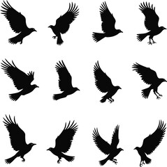 Twelve black crow silhouettes in flight diverse poses