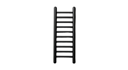 Isolated Black Ladder