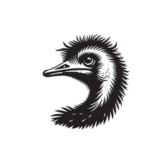 ostrich face pen size,ostrich bird size ,ostrich face silhouette,ostrich silhouette images ,ostrich face silhouette png	
