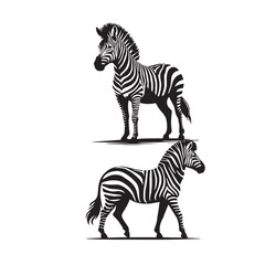 zebra sets silhouette ,zebra silhouette art , zebra setssilhouette images , zebra sets silhouette clipart , zebra silhouette png
