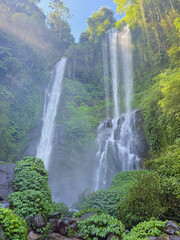 Water cascades gracefully through lush green jungle.