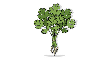 Fototapeta premium Freshly Harvested Cilantro Bundle with Visible Roots and Vibrant Green Leaves for Culinary Uses and Garnishing