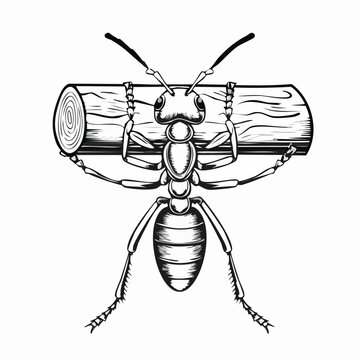 Worker Ant Holding Log image vector illustration isolated on white background.