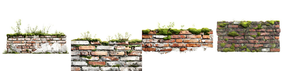 Obraz premium Grunge Brick Wall Set: Weathered Textures with Moss and Vegetation. Isolated on White.