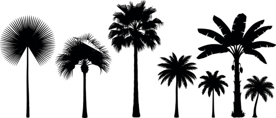 Silhouette collection of palm trees, tropical foliage illustration, exotic plant design, black and white botanical art, nature vector