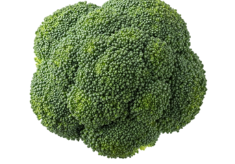Fresh green broccoli head isolated on transparent background