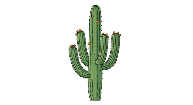 Illustration of a Tall Green Saguaro Cactus with Orange Flowers and Multiple Arms in a Minimalist Style
