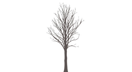 Minimalistic Illustration of a Leafless Tree with Detailed Branch Structure Suitable for Nature and Art Design Projects