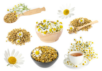 Dried and fresh chamomile flowers and herbal tea isolated on white, set