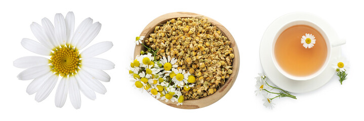 Dried and fresh chamomile flowers and herbal tea isolated on white, set. Top view