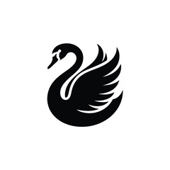 Elegant black swan silhouette with detailed feathering