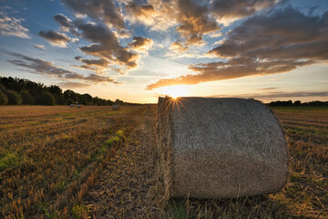 Heuballen - bales of hay - field - harvest - summer - straw - farmland - blue cloudy sky - golden -...