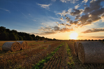Heuballen - bales of hay - field - harvest - summer - straw - farmland - blue cloudy sky - golden -...
